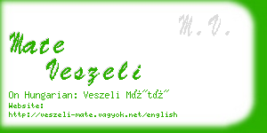 mate veszeli business card